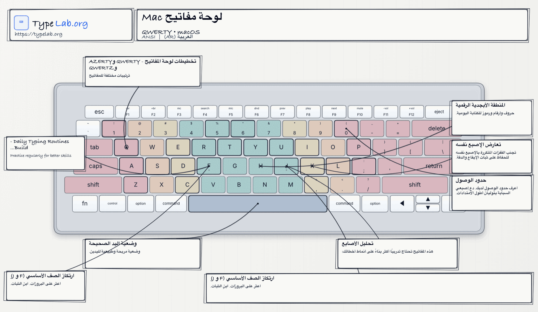 إنفوجرافيك لوحة المفاتيح (macOS)